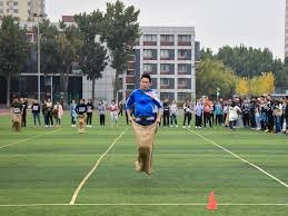 续下注比例